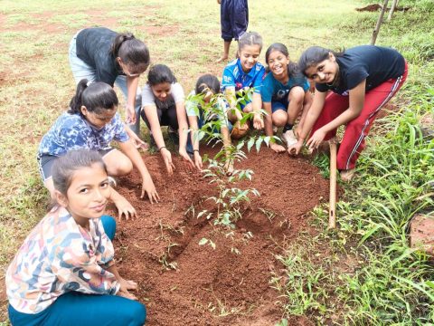 🌿 Van Mahotsava Celebration at Bhashini International School, Mandoli 🌿