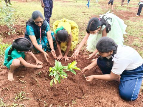 🌿 Van Mahotsava Celebration at Bhashini International School, Mandoli 🌿